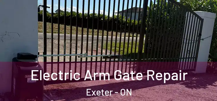  Electric Arm Gate Repair Exeter - ON