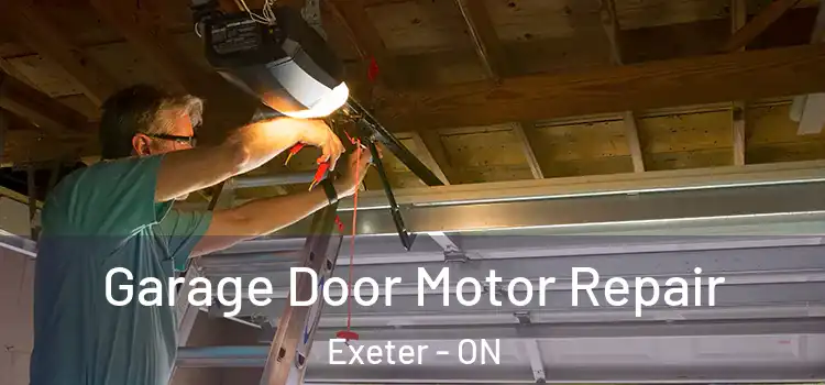  Garage Door Motor Repair Exeter - ON