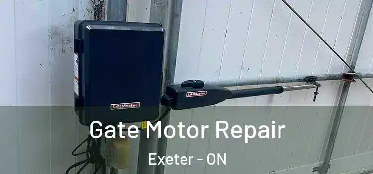  Gate Motor Repair Exeter - ON