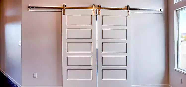 Glass Barn Door with Installation Hardware Kit Exeter