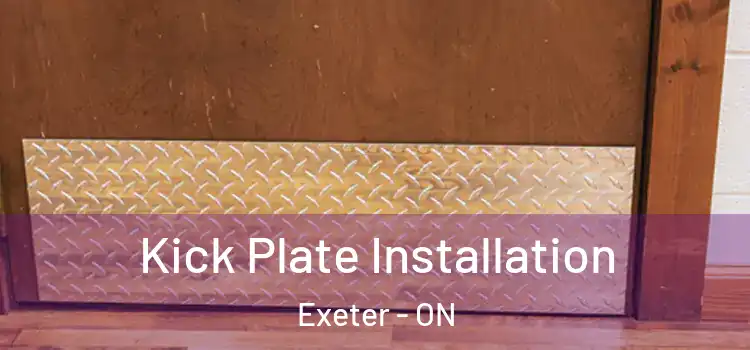  Kick Plate Installation Exeter - ON